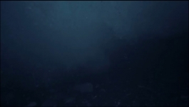 Gold Rush White Water - Season 05 Episode 16